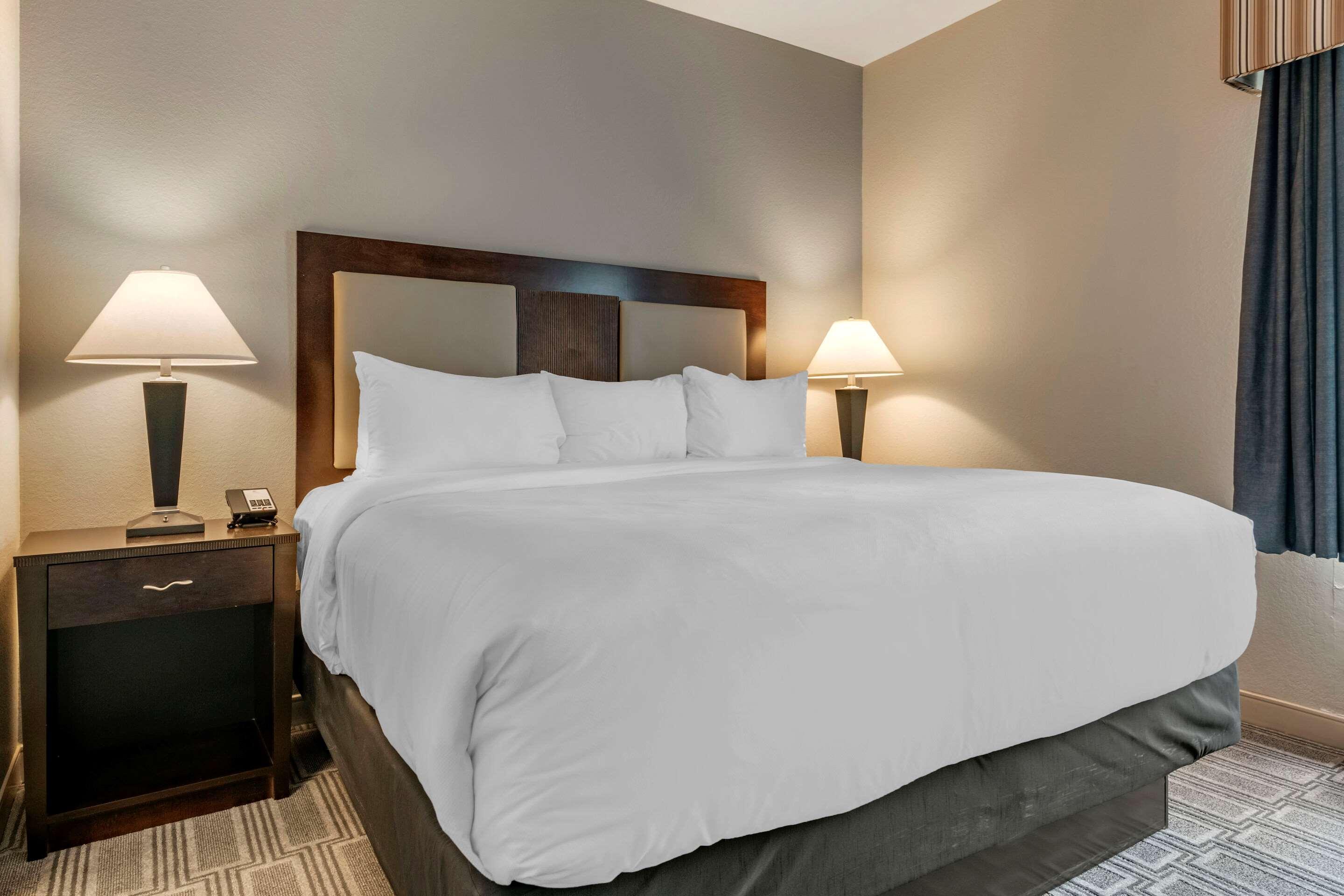 Comfort Inn & Suites Port Charlotte-Punta Gorda Bagian luar foto